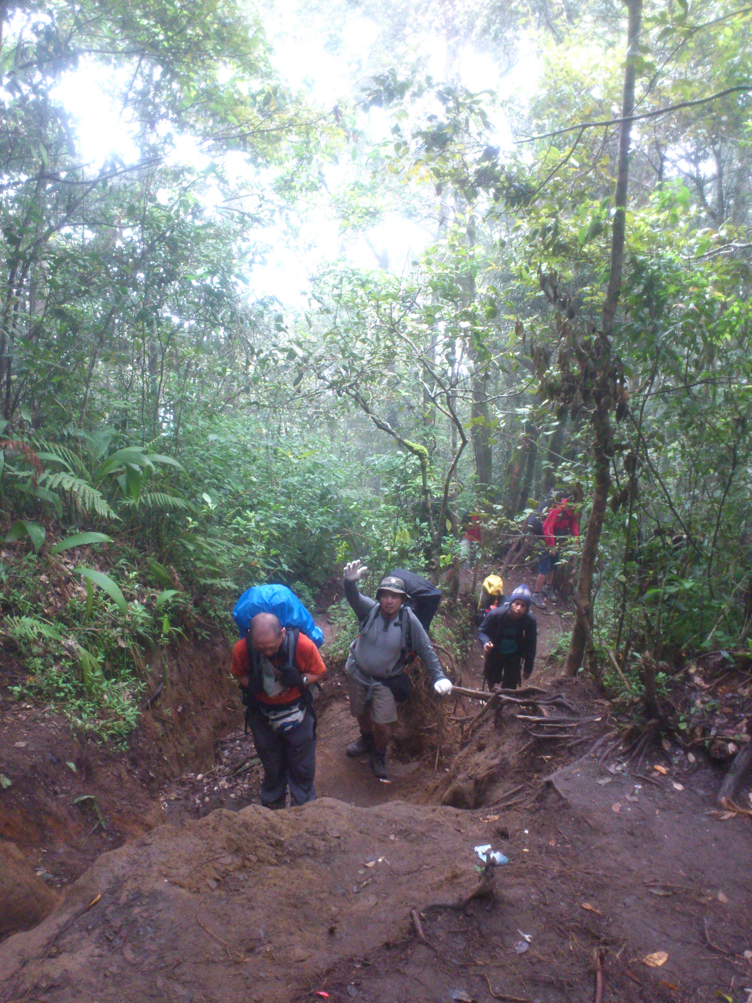 Gunung Cikuray Kukurusuk Adventure Karawang